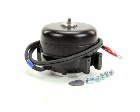 DELIVERY 2-3 days   TRUE800402 True  Motor 115-volt 60 Hertz  , SP-B9HS16